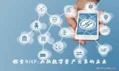 探索BitP：大陆数字资产交